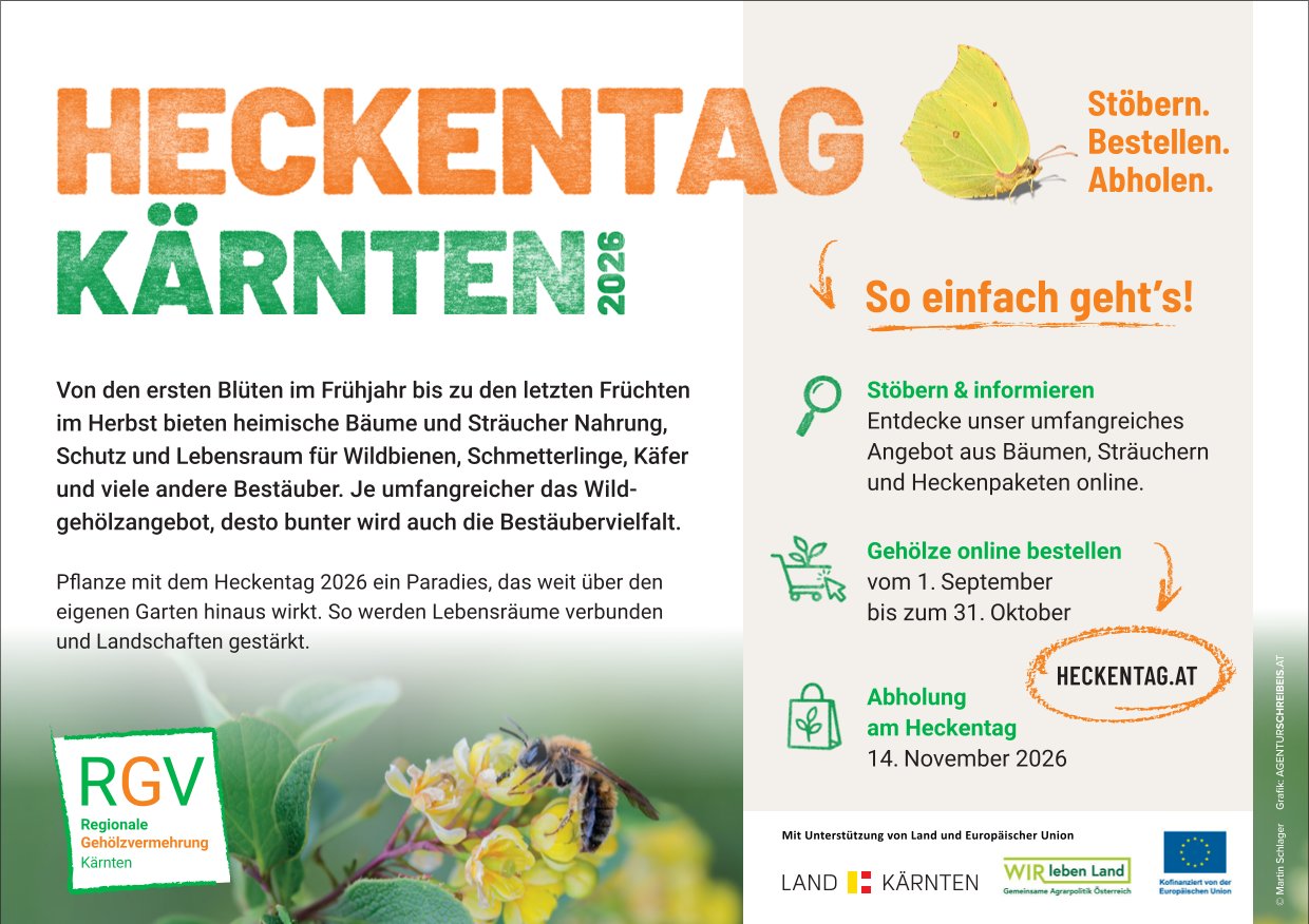 Heckentag Kärnten: Bienen und Schmetterlinge auf Blüten, Info zum Pflanzenkauf online.